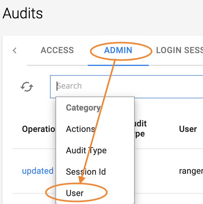 AuditSearch_platform_user.png